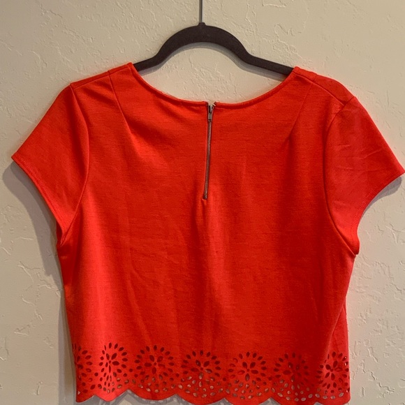 Laced Crop Top* - Picture 4 of 4